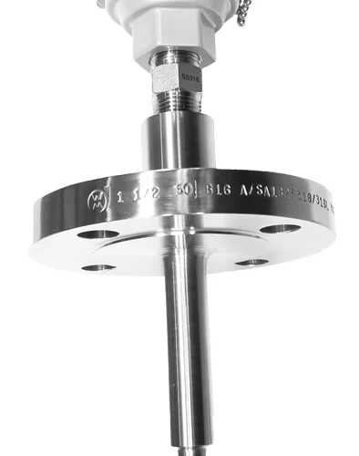 Full Assembly with Flanged Thermowell